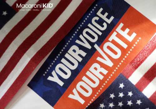 close up shot of American flags and Your Voice Your Vote banner