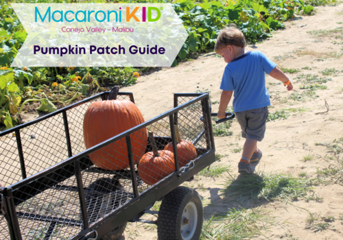 Little boy at the Farm pulling a wagon of pumpkins.  Macaroni KID Conejo Valley - Malibu - Calabasas Pumpkin Patch Guide