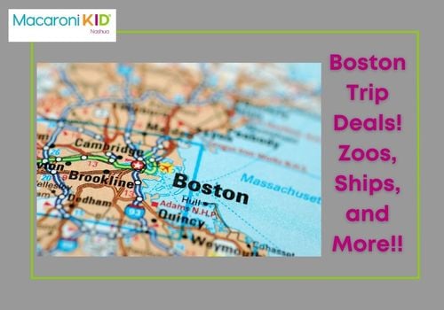 Deals in Boston for zoos, ship museums, dino safari, and sports