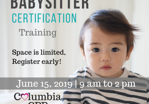 Babysitter Certification Training in Columbia SC