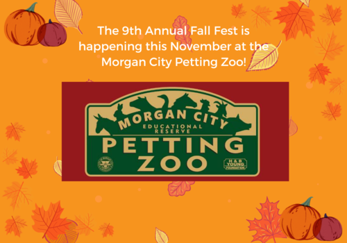Morgan City Petting Zoo Fall Fest