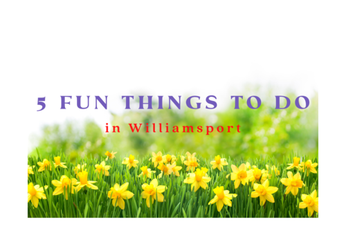5 things to do in Williamsport