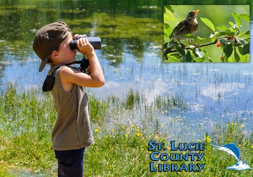 Young boy bird watching with binoculars