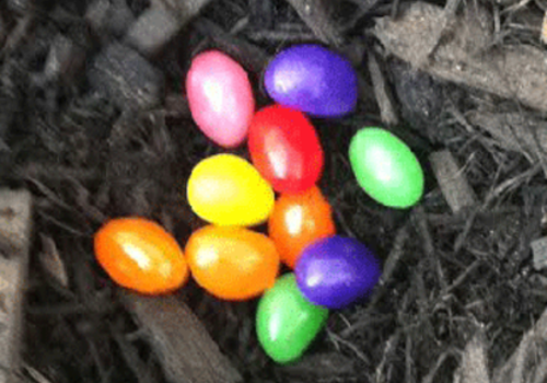 Easter Morning Jelly Bean Surprise
