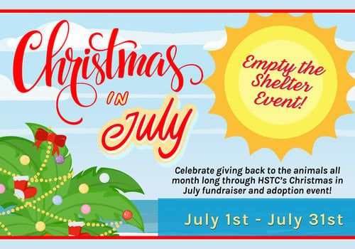 HSTC 2024 Christmas in July Poster