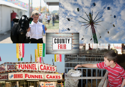 Anne Arundel County Fair