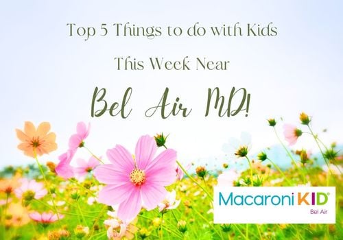 Top 5 Things 4.2.24