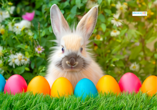 bunny with easter eggs
