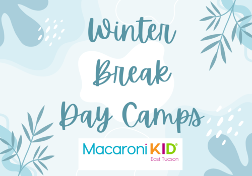 Winter Break Camps