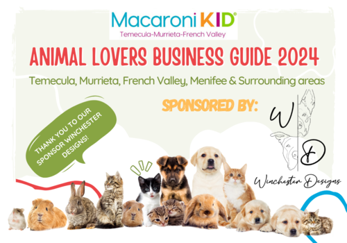 Local Small Businesses Pet Friendly Animal Lovers