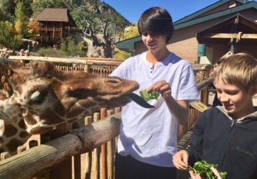 Cheyenne Mountain Zoo