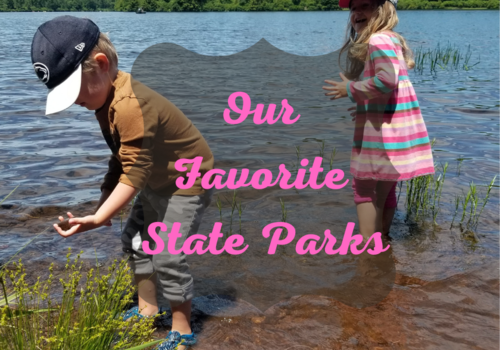 State Parks, Worlds End, Little Pine, Susquehanna, Milton, R.B. Winter, Family Fun