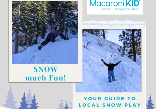 Local Snow Guide