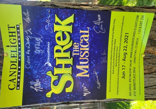 Shrek The Musical Poster Candlelight Dinner Playhouse