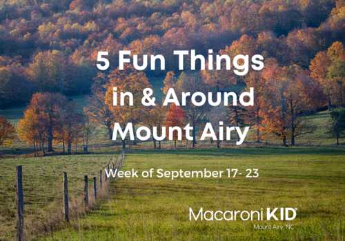 5 Fun things in Mount Airy Fall trees