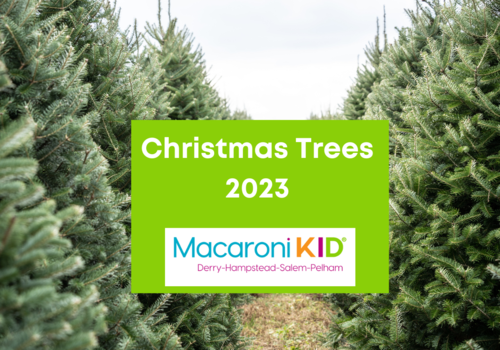 Christmas Trees Derrry 2023