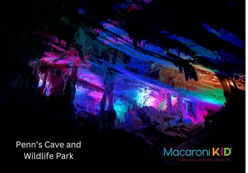Penn's Cave Rainbow Room