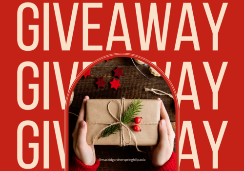 12 Days of Holiday Giveaways