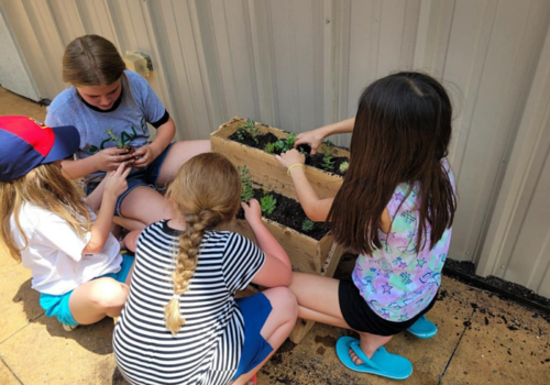 CALE summer campers planting flowers
