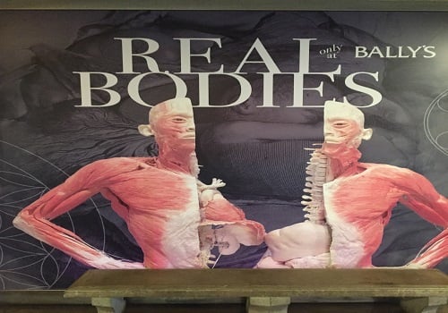 Real Bodies Bally's Las Vegas Spring Break