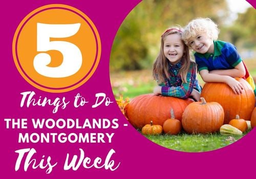 Five things to do in the woodlands montgomery texas north Houston area families kids free family fun magnolia conroe spring parents