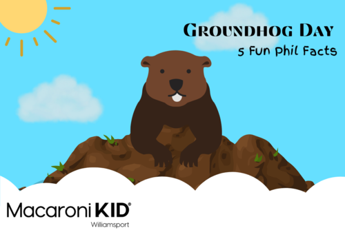 Groundhog Day, Fun Facts, Wacky Facts