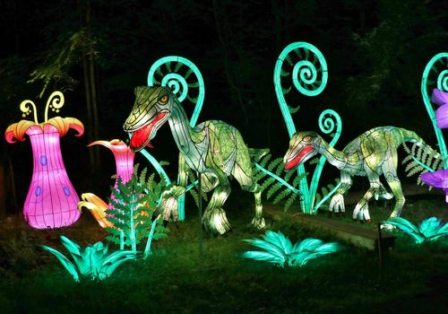 Binghamton Illumination for Conservation Lantern Festival Ross Park Zoo
