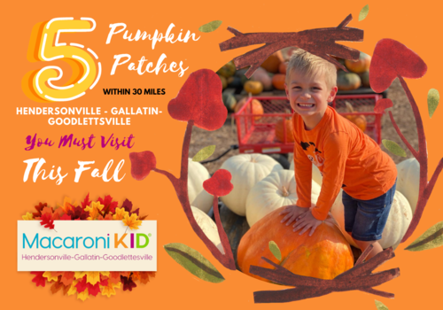 five pumpkin patches within 30 miles of Hendersonville, Gallatin, and Goodlettsville Tennessee You must visit this fall 20203