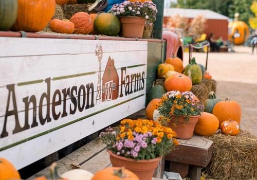 Anderson Farms entry sign