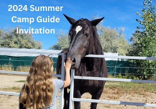 2024 Summer Camp Guide Invitation