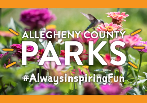 Allegheny County Parks 