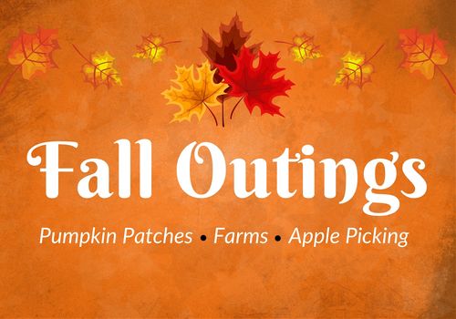 Fall Outings
