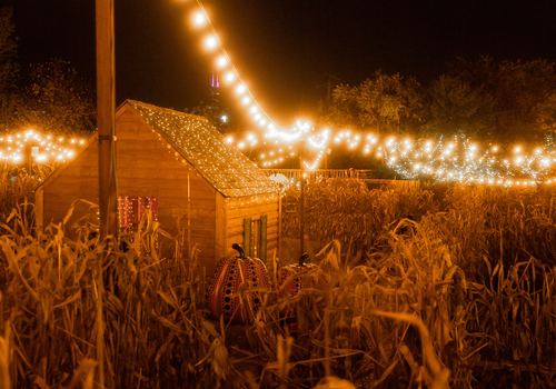 lights around a corn maze at a pumpkin farm