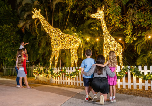 Palm Beach Zoo & Conservation Society Zoo Lights