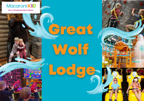 Great Wolf Lodge Article Header