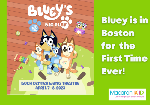 Bluey's Big Play The Stage Show