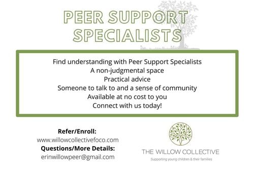 Peer Support Specialists The Willow Collective Promo Ad