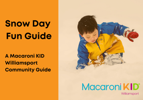 Snow Day, Snow Day Guide, Fun Snow Activities, Williamsport fun