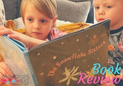 Children's Book Review SnowFlake Sisters
