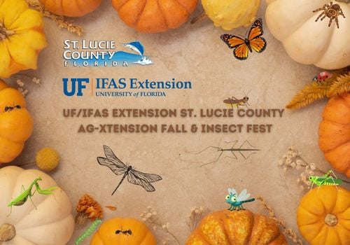 UF/IFAS Extension St. Lucie County Ag-Xtension Fall & Insect Fest