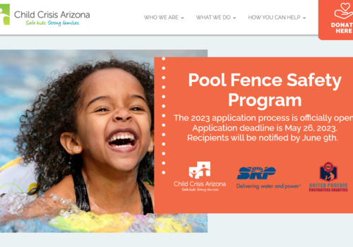 Pool Fence Program