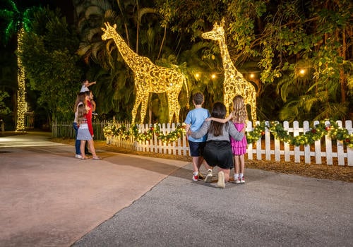 Palm Beach Zoo & Conservation Society