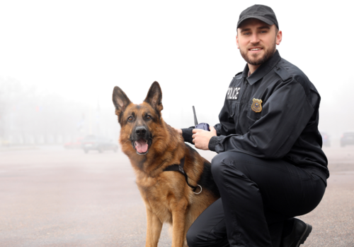 police officer leaning next to police dog