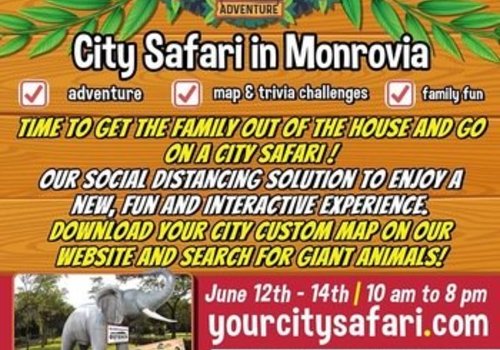 Your City Safari