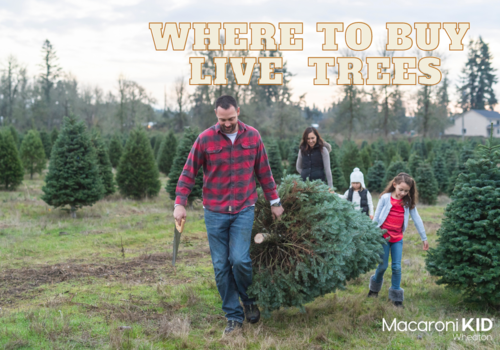 Christmas Tree Farms | Wheaton, IL