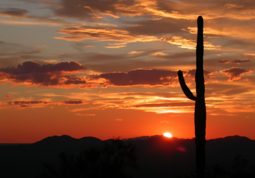 Sun setting with a saguaro cactus in the foreground