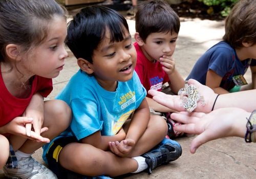 ZOO ATLANTA SAFARI CAMP SCHOLARSHIP PROGRAM Children Playing