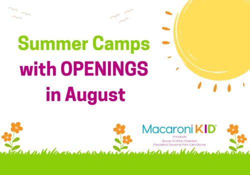Summer Camps with Openings in August