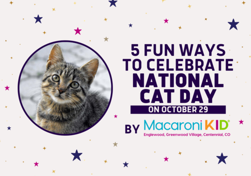 5 Fun Ways to Celebrate National Cat Day