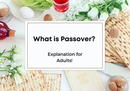 What is Passover For Adults